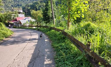 For Sale: 3,165sqm Titled Residential Lot in Guadalupe, Cebu City