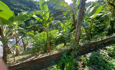 For Sale: 3,165sqm Titled Residential Lot in Guadalupe, Cebu City