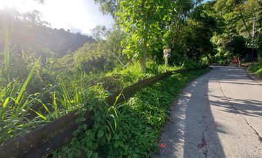 For Sale: 3,165sqm Titled Residential Lot in Guadalupe, Cebu City