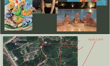 Lio Villas Resort in El Nido, Palawan