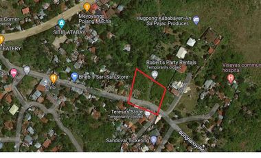 PROPERTY # 10074 Commercial Lot for sale in Ylaya Agus lapu-lapu