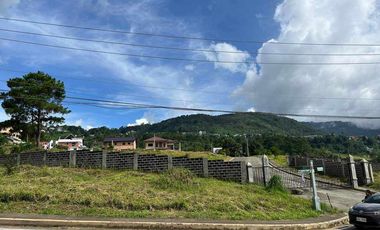 305sqm Residential Lot for sale at Pinewoods, Baguio - Corner and Flat
