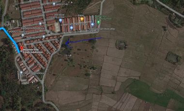 HOT DEAL: 2-Hectare Residential Lot in Binangonan, Rizal