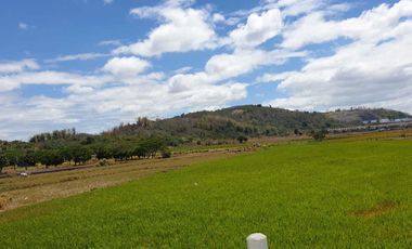 HOT DEAL: 2-Hectare Residential Lot in Binangonan, Rizal