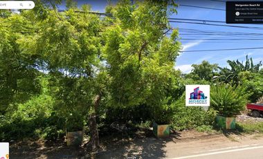 PROPERTY # 10099  VACANT LOT FOR LEASE OR RENT IN Marigondon, Lapu-Lapu City