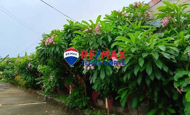 House and Lot for Sale in Dagupan City, Pangasinan