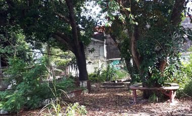 648 Sqm Residential Lot for Sale in San Dionisio, Paranaque City!