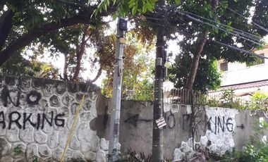 648 Sqm Residential Lot for Sale in San Dionisio, Paranaque City!