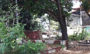 648 Sqm Residential Lot for Sale in San Dionisio, Paranaque City!