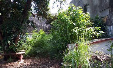 648 Sqm Residential Lot for Sale in San Dionisio, Paranaque City!