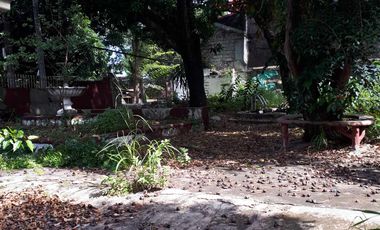 648 Sqm Residential Lot for Sale in San Dionisio, Paranaque City!