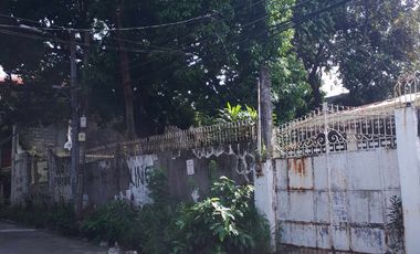 648 Sqm Residential Lot for Sale in San Dionisio, Paranaque City!