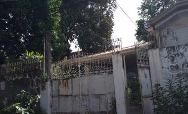 648 Sqm Residential Lot for Sale in San Dionisio, Paranaque City!