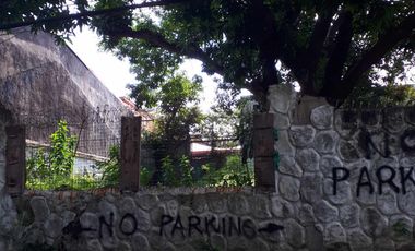 648 Sqm Residential Lot for Sale in San Dionisio, Paranaque City!