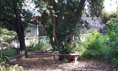 Prime 648 sqm Residential Lot for Sale in San Dionisio, Parañaque City