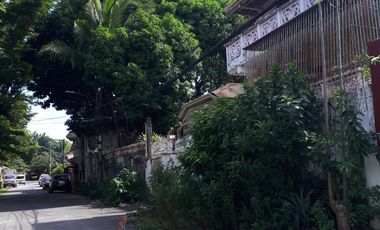 Prime 648 sqm Residential Lot for Sale in San Dionisio, Parañaque City