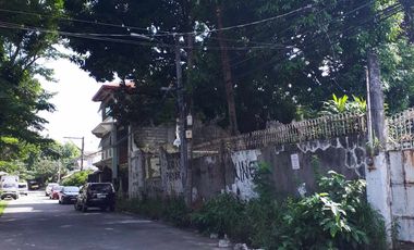 Prime 648 sqm Residential Lot for Sale in San Dionisio, Parañaque City