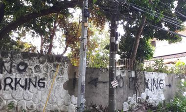 Prime 648 sqm Residential Lot for Sale in San Dionisio, Parañaque City