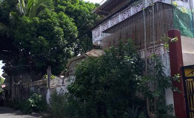Prime 648 sqm Residential Lot for Sale in San Dionisio, Parañaque City
