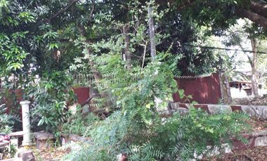 Prime 648 sqm Residential Lot for Sale in San Dionisio, Parañaque City