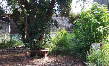 Prime 648 sqm Residential Lot for Sale in San Dionisio, Parañaque City