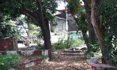 Prime 648 sqm Residential Lot for Sale in San Dionisio, Parañaque City