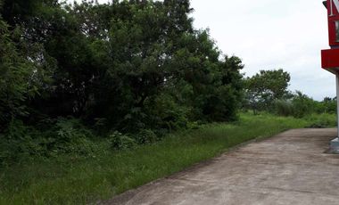 1,800 Sqm Prime Lot for Sale for Only Php 9,00,000 in Baliuag Candaba Road