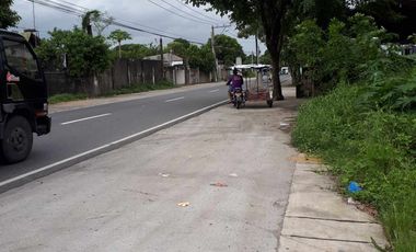 1,800 Sqm Prime Lot for Sale for Only Php 9,00,000 in Baliuag Candaba Road