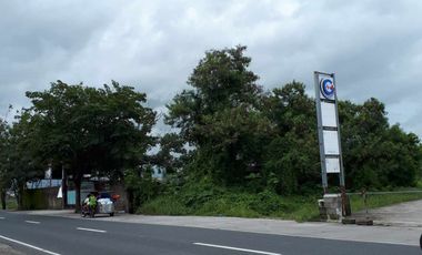 1,800 Sqm Prime Lot for Sale for Only Php 9,00,000 in Baliuag Candaba Road