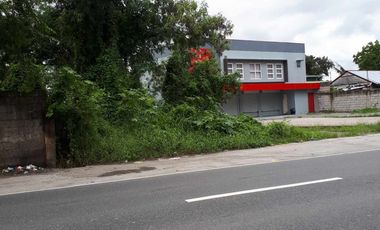 1,800 Sqm Prime Lot for Sale for Only Php 9,00,000 in Baliuag Candaba Road