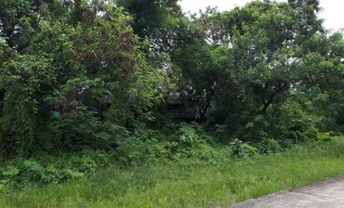 1,800 Sqm Prime Lot for Sale for Only Php 9,00,000 in Baliuag Candaba Road