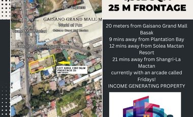 PROPERTY # 315  COMMERCIAL LOT FOR RENT IN BASAK, LAPULAPU