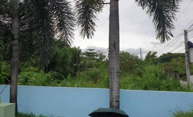 Lot for sale 2.7 Hectares, clean title in Manibaug Porac, Pampanga