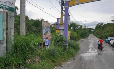 Lot for sale 2.7 Hectares, clean title in Manibaug Porac, Pampanga