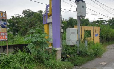 Lot for sale 2.7 Hectares, clean title in Manibaug Porac, Pampanga