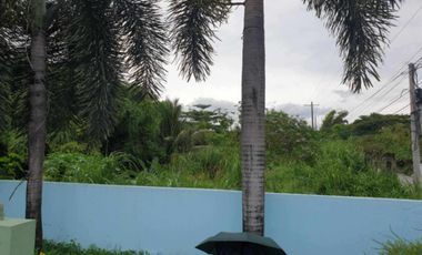 Lot for sale 2.7 Hectares, clean title in Manibaug Porac, Pampanga