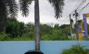 Lot for sale 2.7 Hectares, clean title in Manibaug Porac, Pampanga