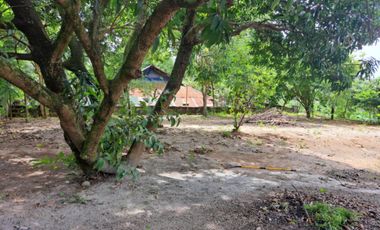 Lot for Sale 872 sqm, clean title in Sta. Monica Sta. Rita Guagua, Pampanga