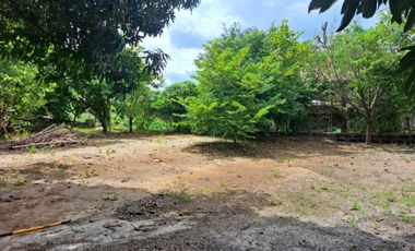 Lot for Sale 872 sqm, clean title in Sta. Monica Sta. Rita Guagua, Pampanga