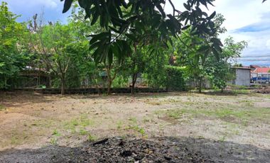 Lot for Sale 872 sqm, clean title in Sta. Monica Sta. Rita Guagua, Pampanga