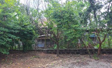 Lot for Sale 872 sqm, clean title in Sta. Monica Sta. Rita Guagua, Pampanga
