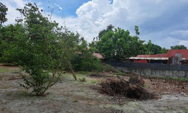 Lot for Sale 872 sqm, clean title in Sta. Monica Sta. Rita Guagua, Pampanga