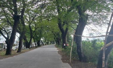 Residential lot Good for trucking, clean title in Ebus Guagua, Pampanga for Sale