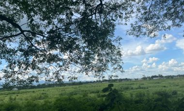 Residential lot Good for trucking, clean title in Ebus Guagua, Pampanga for Sale