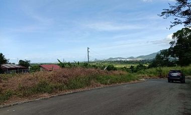 1,459 sqm lot for sale Trapiche Tanauan Batangas very nice view