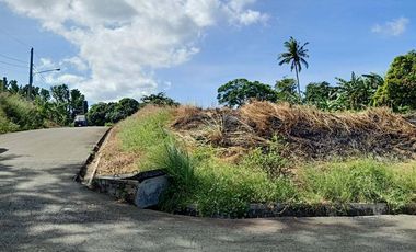 1,459 sqm lot for sale Trapiche Tanauan Batangas very nice view