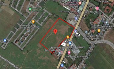 For Sale: Prime Commercial Lot Property - Cabanatuan, Nueva Ecija!