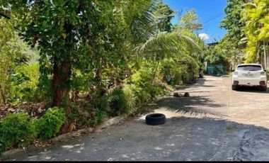 119 Square Meter Residential LOT in GUADALUPE CEBU for Sale all inclusive Taxes