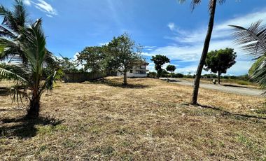 Lot For sale at Amara Subdivision Liloan 480 square meters