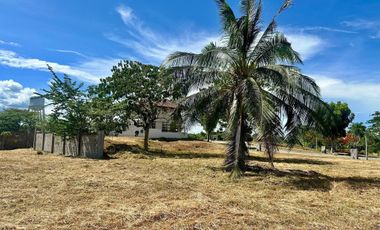 Lot For sale at Amara Subdivision Liloan 480 square meters